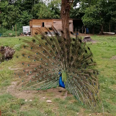 ゲストハウス D'hotes 