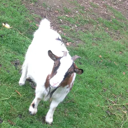 ゲストハウス D'hotes 